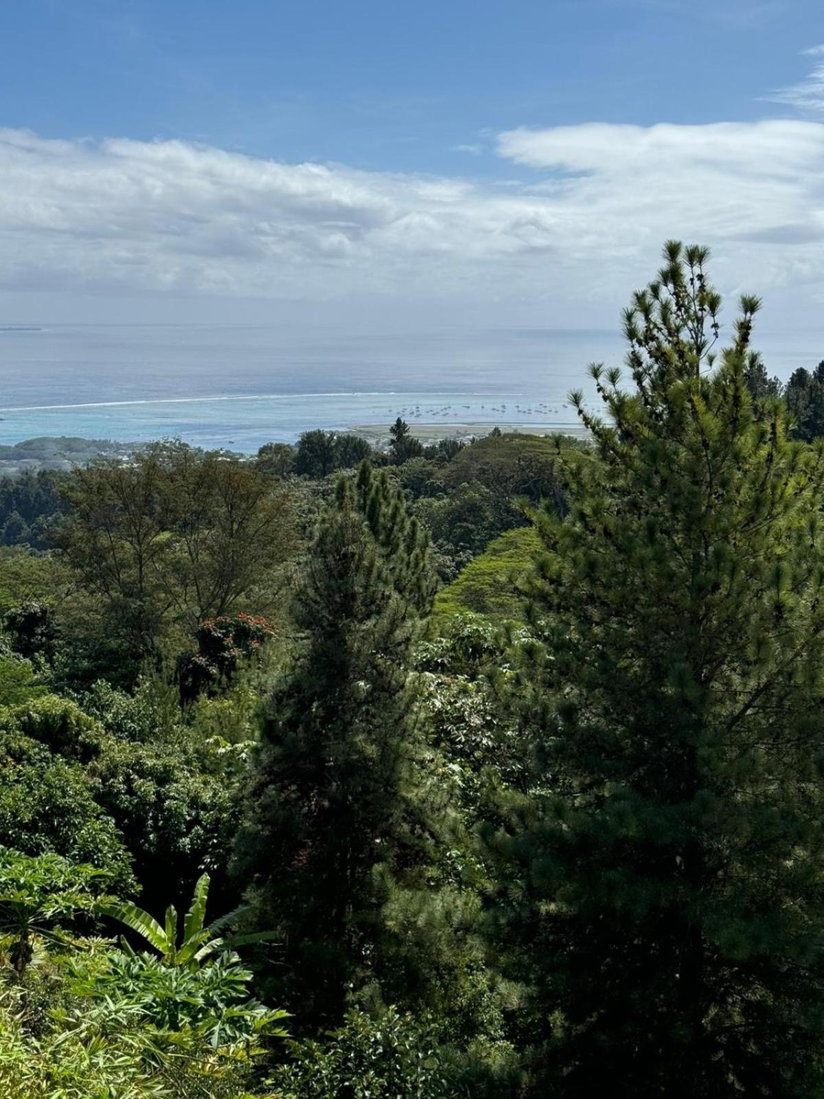 Logement Cosy Avec Piscine Et Vue Tahiti Punaauia Exterior foto